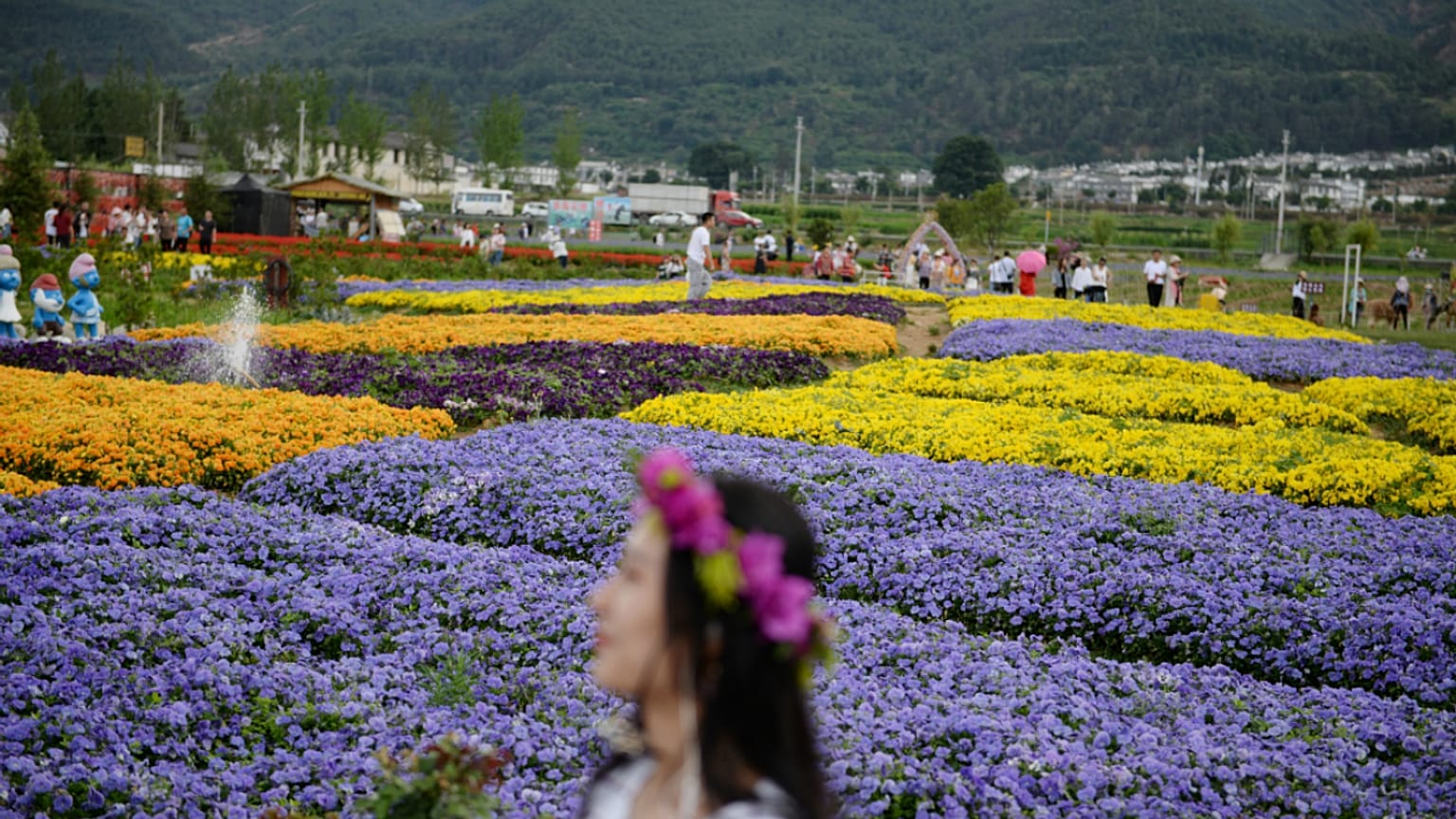İsveç'te 'Midsommar Günü' çiçekten taçlarla ve kurbağa danslarıyla kutlanıyor
