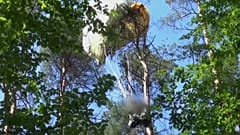Ein Pilot konnte sich mit dem Schleudersitz retten. Er landete mit seinem Fallschirm in einer Baumkrone.