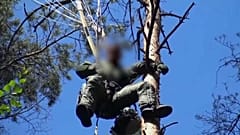Eurofighter pilot killed in Germany collision, other found alive in tree