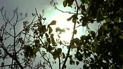 Европа: под жарким солнцем 