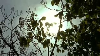 Европа: под жарким солнцем 