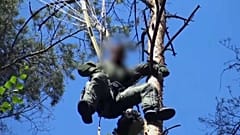 Piloto rescatado tras el accidente