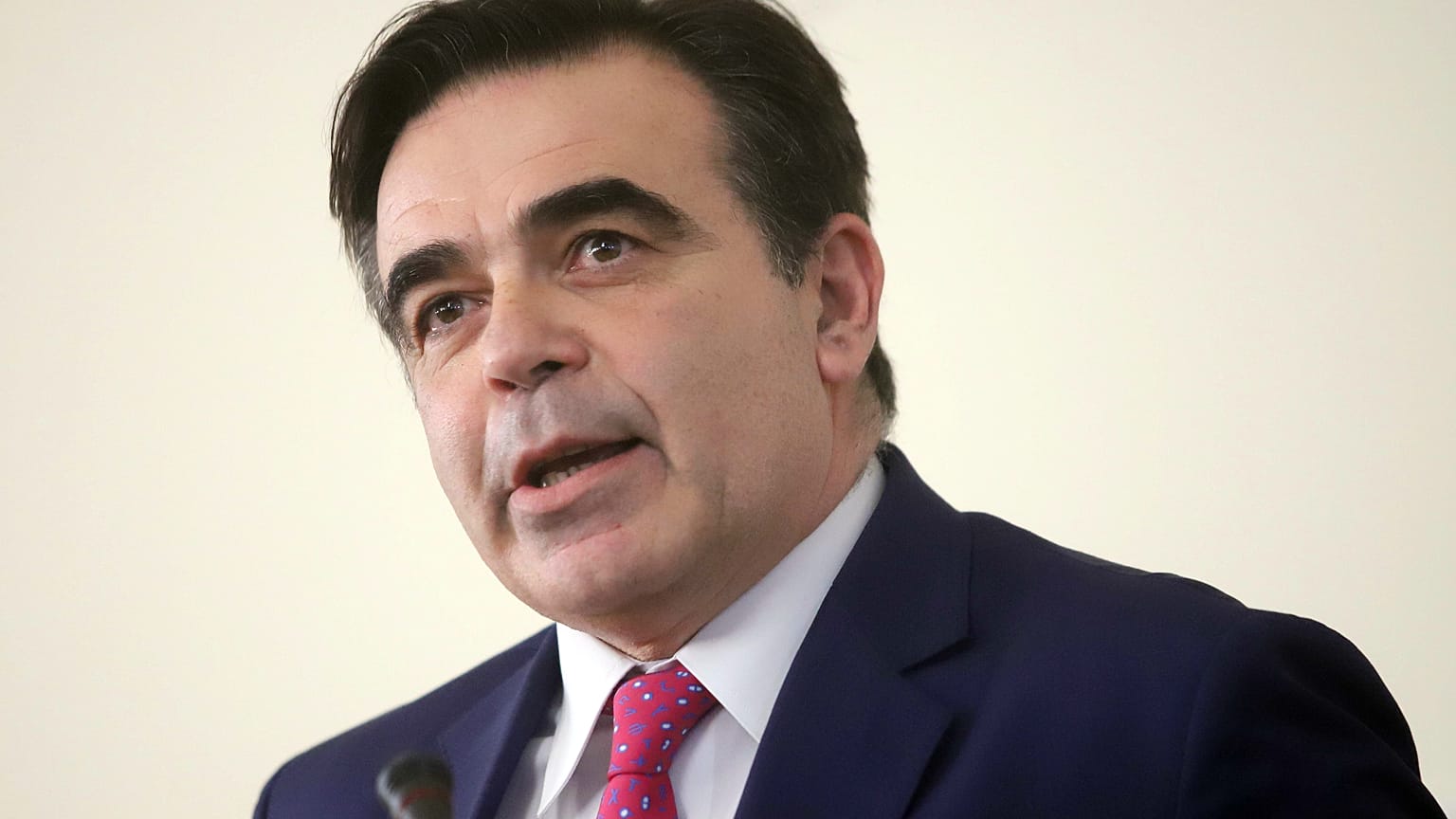 Ο αντιπρόεδρος της Κομισιόν για την Προστασία του Ευρωπαϊκού Τρόπου Ζωής, Μαργαρίτης Σχοινάς