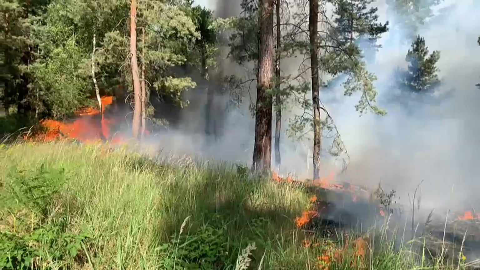 Waldbrand in der Lieberoser Heide (Brandenburg)
