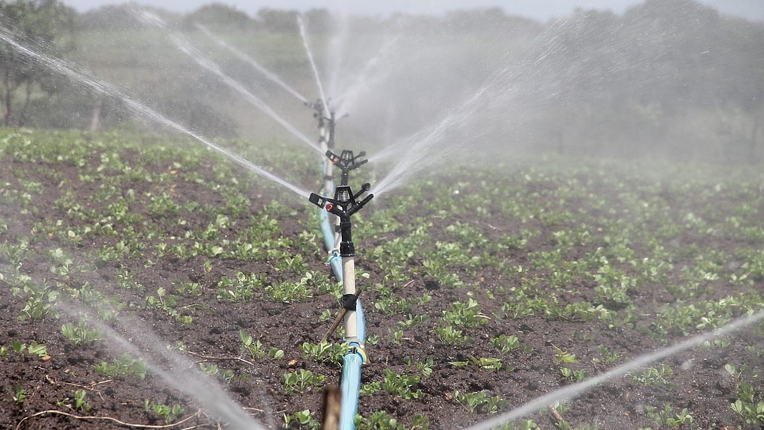 Agricultura deve usar águas residuais urbanas 