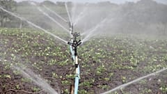 Agricultura deve usar águas residuais urbanas 