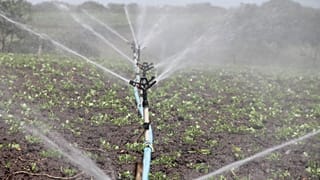 Agricultura deve usar águas residuais urbanas