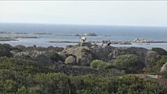 Asinara: da isola-prigione a luogo di cultura