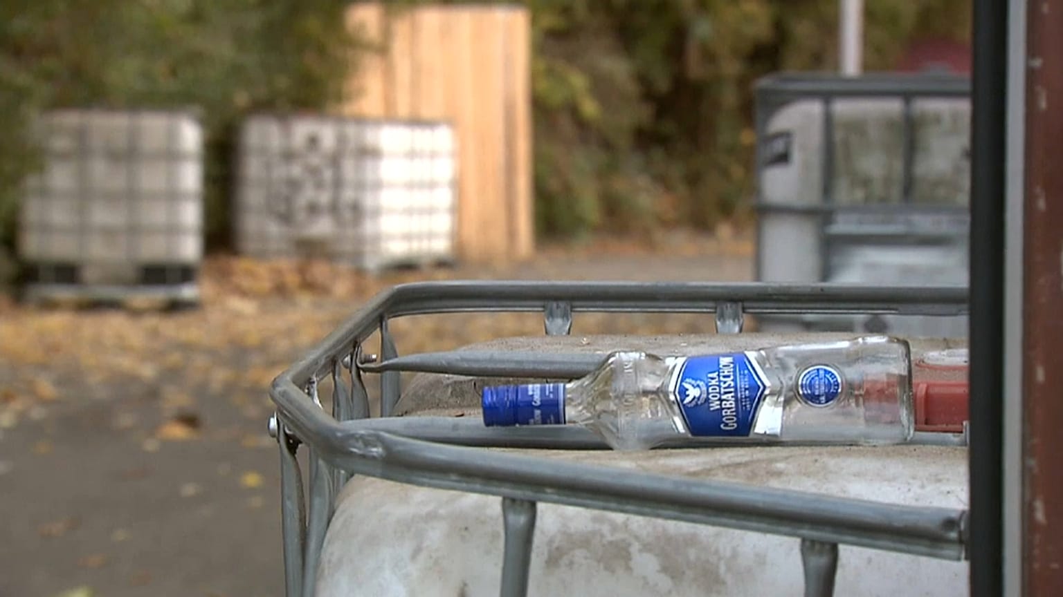 The victim was attacked outside the nightclub in Freiburg