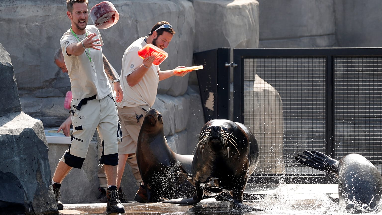 Arrefecer o ambiente no Zoo de Paris
