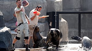 Arrefecer o ambiente no Zoo de Paris