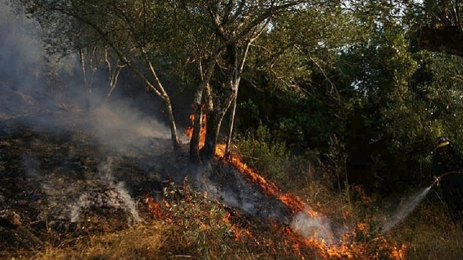Σε ύφεση η φωτιά στην Κάρυστο