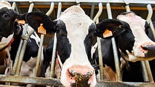 The Brief from Brussels : difficiles négociations UE-Mercosur