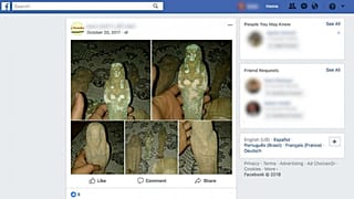 Orta Doğu'da yağmalanan tarihi eserler sosyal medya üzerinden Avrupa'ya satılıyor