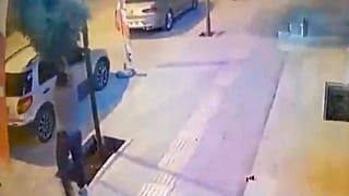 Mardin'de kaldırımdaki ağacı kıran kişiye 100 fidan dikme cezası