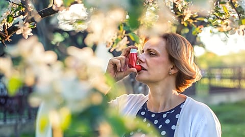 Pan-European initiative to provide pollen forecasts based on near real-time observations