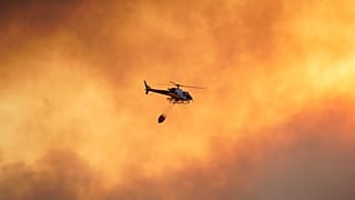 Los incendios arrasan más de 10.000 hectáreas de monte en España