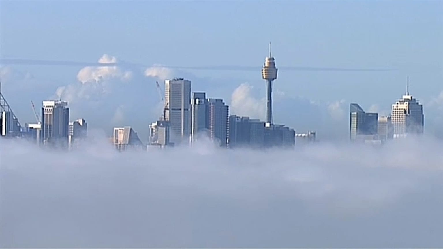 Sydney avvolta dalla nebbia, disagi nel trasporto aereo