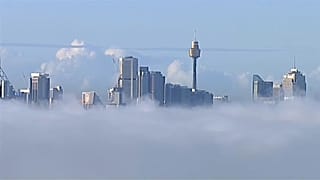 Sydney avvolta dalla nebbia, disagi nel trasporto aereo