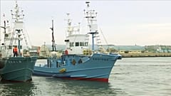 Япония взялась за старое