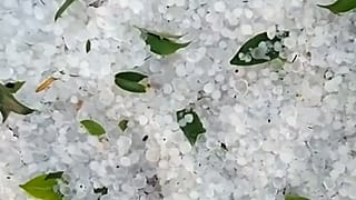 ویدئو؛ کودکان مکزیکی پس از بارش تگرگ با گلولههای یخی از هم استقبال کردند