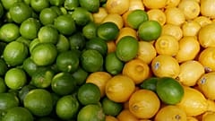Una amenaza para la agricultura europea: ¿Es el acuerdo de Mercosur un regalo envenenado?