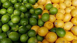 Una amenaza para la agricultura europea: ¿Es el acuerdo de Mercosur un regalo envenenado?