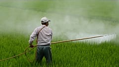 Avusturya tartışmalı tarım ilacı glifosatı yasaklayan ilk AB ülkesi oldu