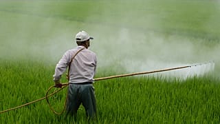 Avusturya tartışmalı tarım ilacı glifosatı yasaklayan ilk AB ülkesi oldu