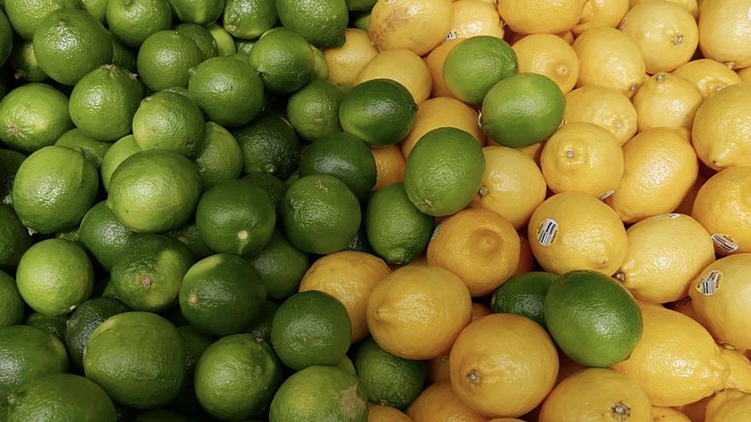 EU-Mercosur deal: Is the agreement a threat to European agriculture?
