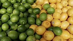 EU-Mercosur deal: Is the agreement a threat to European agriculture?