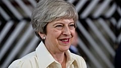 Everybody around the world needs to play their part in climate change: May