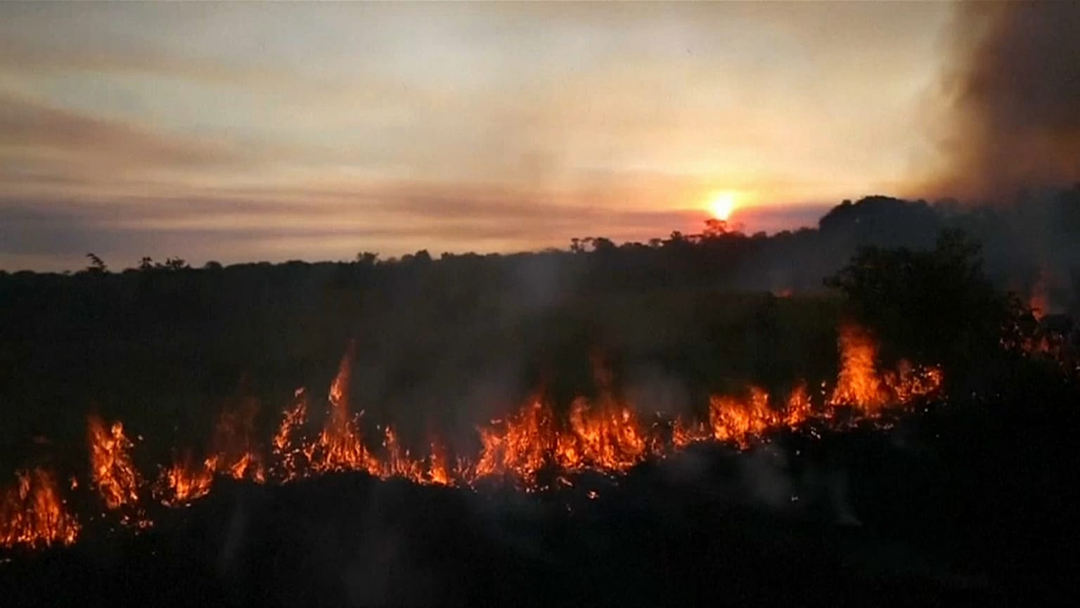 Rápida destrucción de la Amazonía brasileña