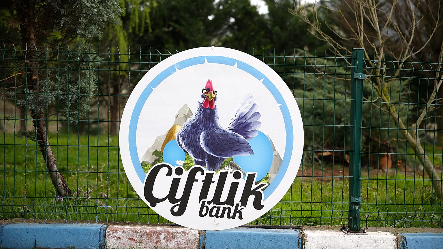 'Çiftlik Bank' davasında tutuklu sanık kalmadı