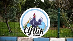 Çiftlik Bank