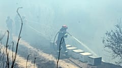 Πυροσβέστης επιχειρεί για την κατάσβεση της πυρκαγιάς που ξέσπασε στην θέση Αυλωνάρι στην Εύβοια