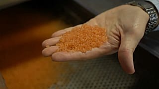 Scoperta plastica "bio"