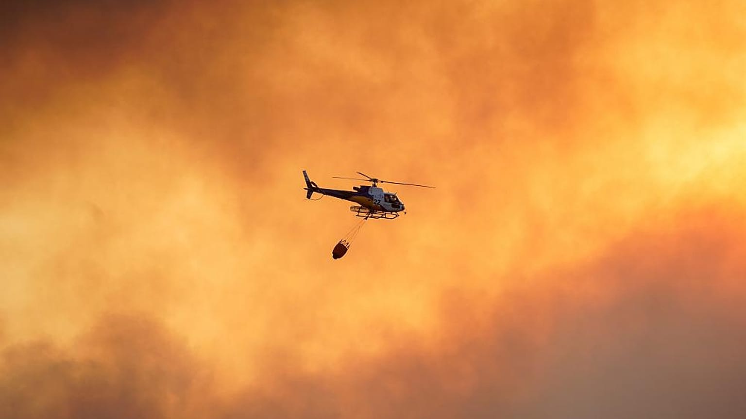 La mano del hombre detrás del 96% de los incendios en el Mediterráneo, según informe de WWF