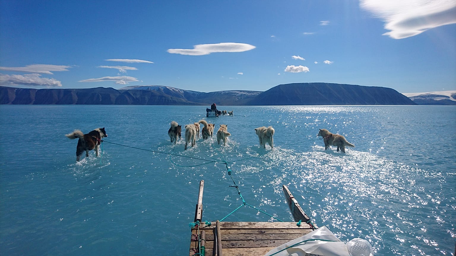 La foto dei cani da slitta in Groenlandia... ora anche in versione VIDEO