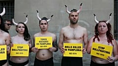 Espagne : ils se mettent à nu pour dénoncer la maltraitance des taureaux