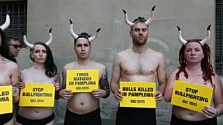 Espagne : ils se mettent à nu pour dénoncer la maltraitance des taureaux