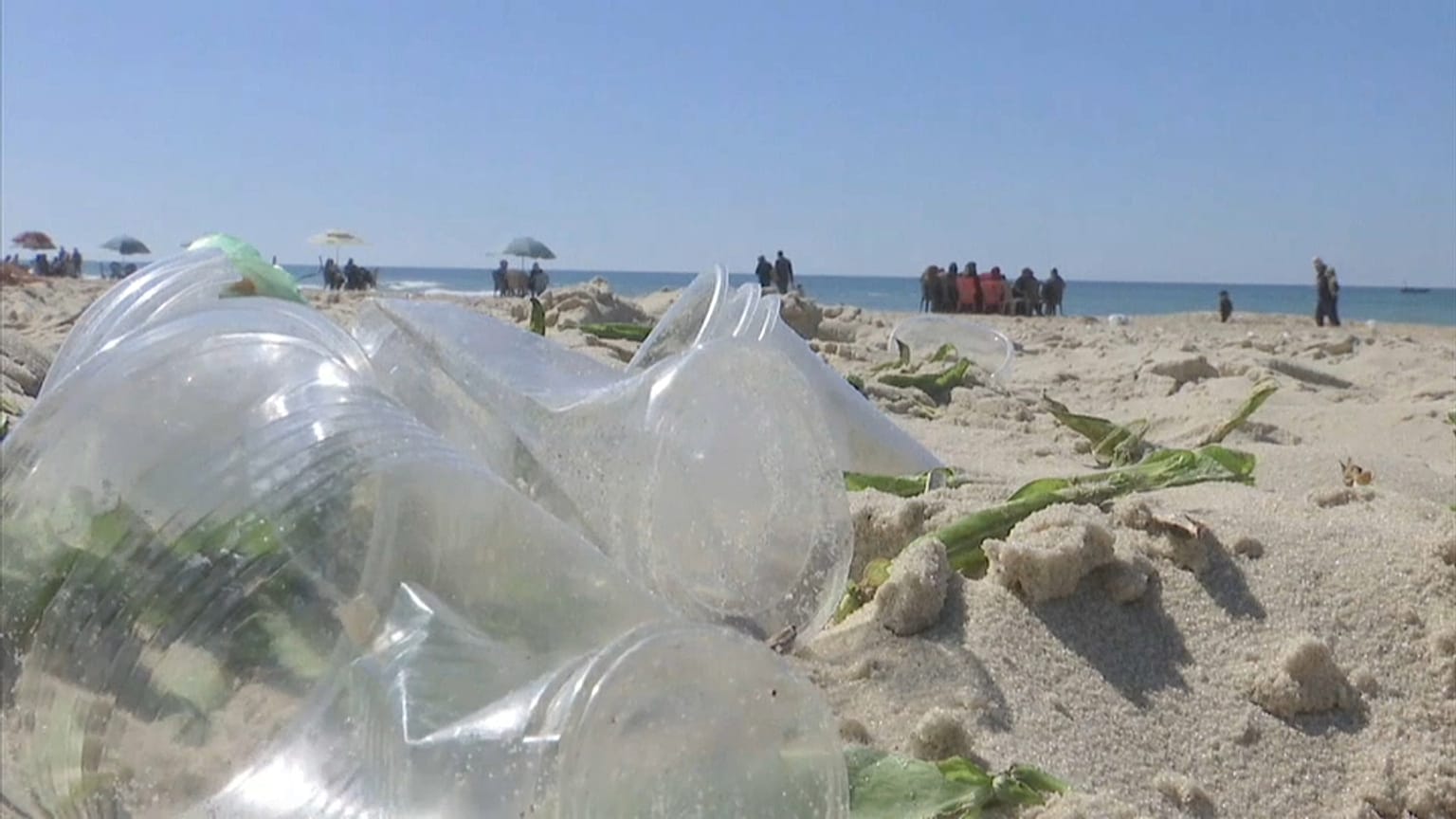 Más cerca de encontrar una alternativa biodegradable al plástico