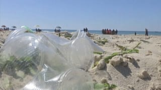 Más cerca de encontrar una alternativa biodegradable al plástico