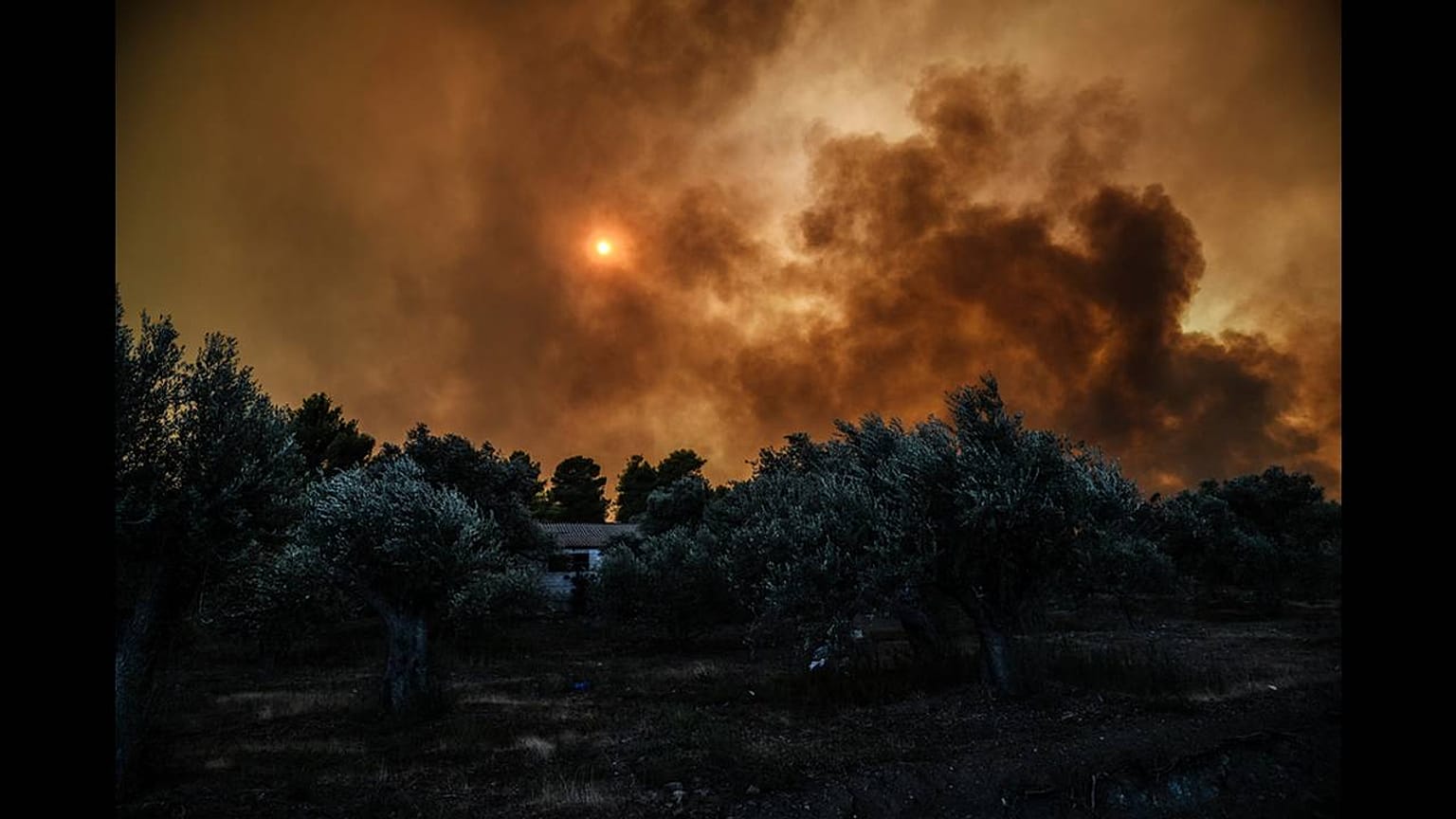 Εύβοια: Σε κατάσταση έκτακτης ανάγκης οι πυρόπληκτες περιοχές 