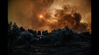 Εύβοια: Σε κατάσταση έκτακτης ανάγκης οι πυρόπληκτες περιοχές 