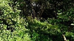 Schock in Mülheim: 12- und 14-Jährige vergewaltigen junge Frau