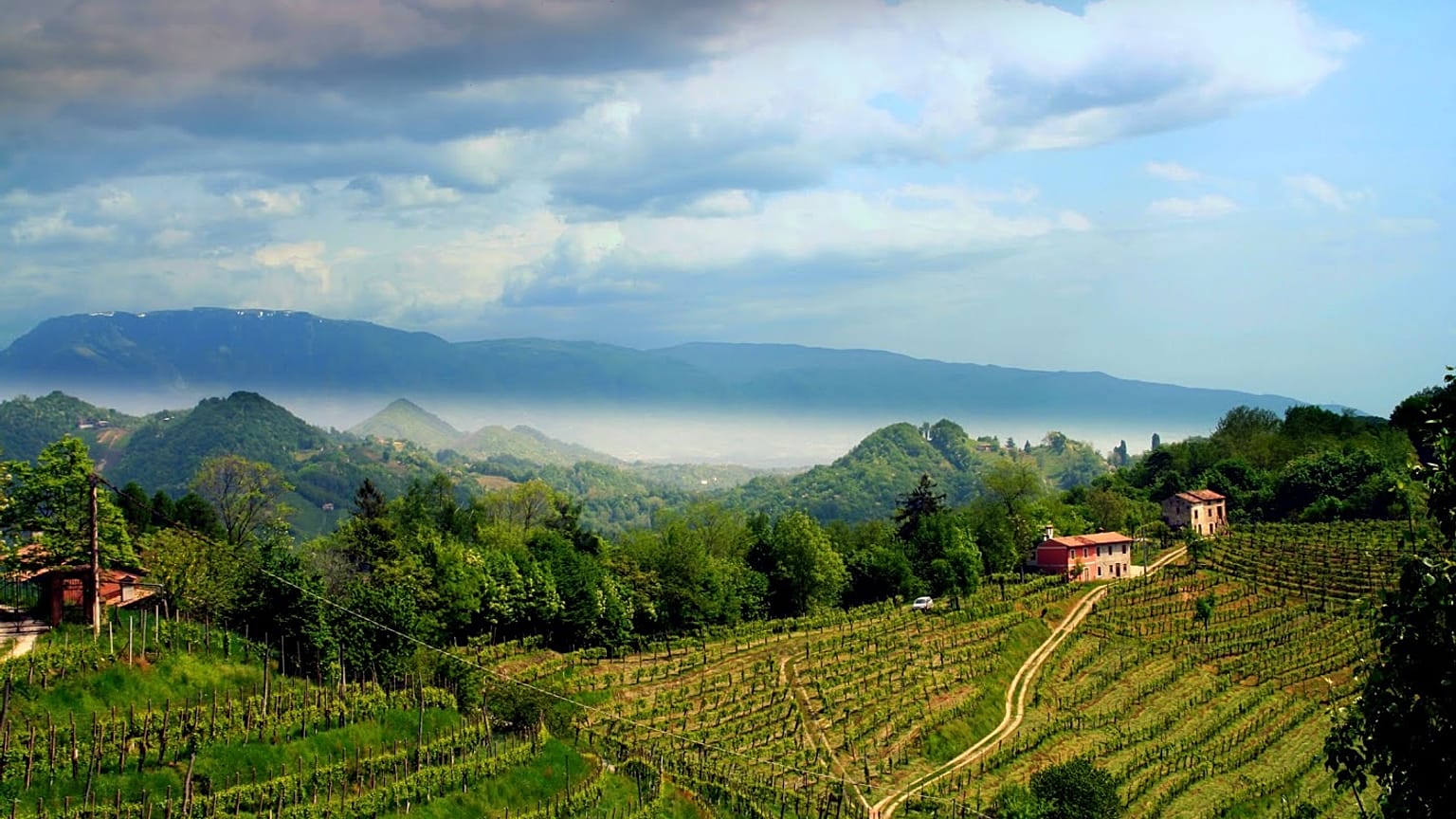 Le colline venete del Prosecco entrano nel patrimonio Mondiale Unesco
