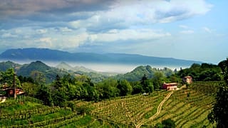 Le colline venete del Prosecco entrano nel patrimonio Mondiale Unesco