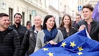Katalin Cseh, MEP