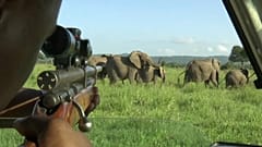Operation Thunderball: Schlag gegen Wildtierhandel